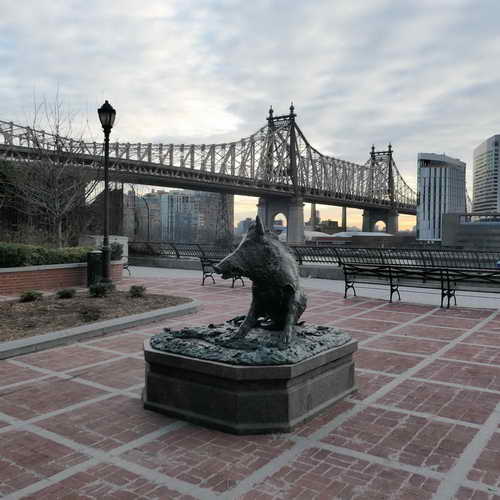 NYC_2020-01-27 07-49-32_P1070750